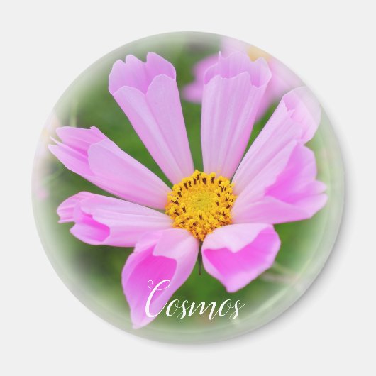 コスモスマグネット マグネット (正面)