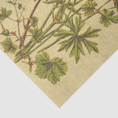 コスモスヴィンテージ花の素朴切り離 薄葉紙 (詳細)