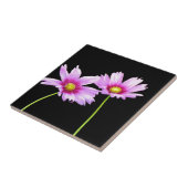 コスモス二 タイル (側面)