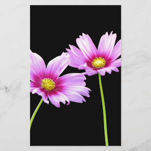 コスモス二 便箋 (正面)