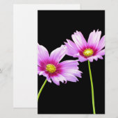 コスモス二 便箋 (正面/裏面)