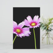 コスモス二 便箋 (スタンド正面)