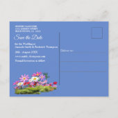 コスモス原野ワイルドフラワー 案内ポストカード (裏面)