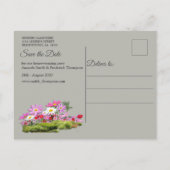 コスモス原野ワイルドフラワー 案内ポストカード (裏面)