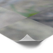 コスモス紫の花 ポスター (角)