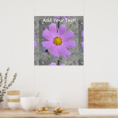 コスモス紫の花 ポスター (キッチン)