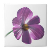 コスモス花 タイル (正面)