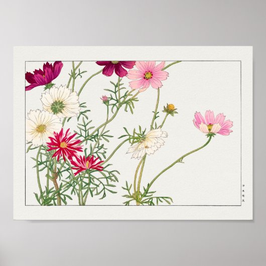 コスモス谷上湖南 ポスター (正面)