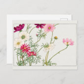 コスモス谷上湖南 ポストカード (正面/裏面)