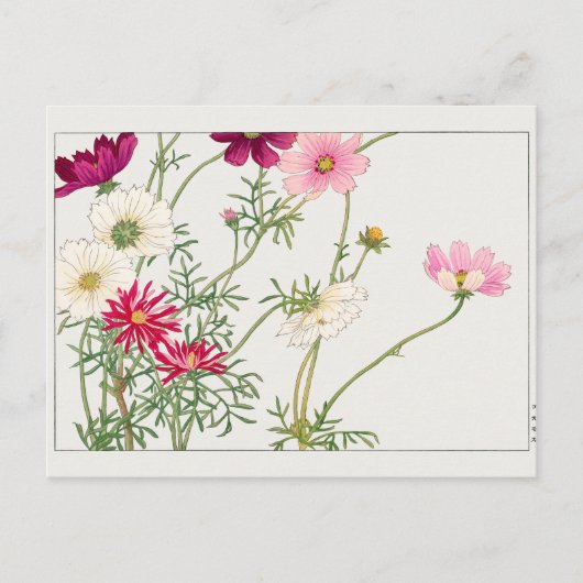 コスモス谷上湖南 ポストカード (正面)