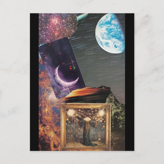 「コスモス」はがき ポストカード (正面)