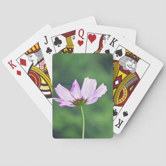 コスモス トランプ (裏面)