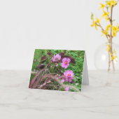 コスモス（ピンク）とコリウス カード (黄色い花)