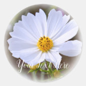 コスモス ラウンドシール (正面)