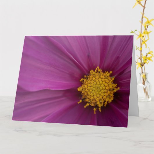 コスモフラワー カード (黄色い花)