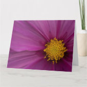 コスモフラワー カード (正面)