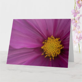 コスモフラワー カード