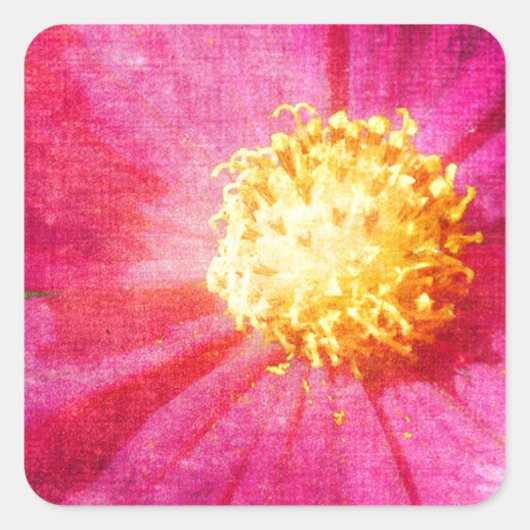 コスモフラワー スクエアシール (正面)