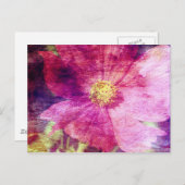 コスモフラワー ポストカード (正面/裏面)