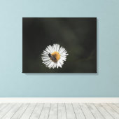 コスモポリタンビー キャンバスプリント (インサイチュ (ウッドフロア))