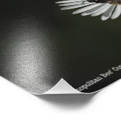 コスモポリタンビー フォトプリント            (角)