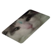 コスモ3カスタム磁石 マグネット (左側)