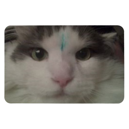 コスモ3カスタム磁石 マグネット (横)