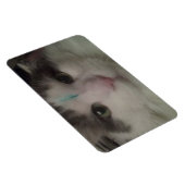 コスモ3カスタム磁石 マグネット (右側)