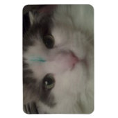 コスモ3カスタム磁石 マグネット (縦)