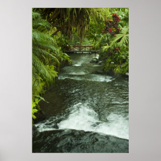 コスラリカドリーム ポスター