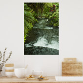 コスラリカドリーム ポスター (キッチン)