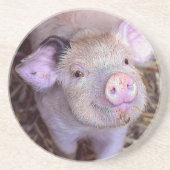 コズミコ コースター (正面)