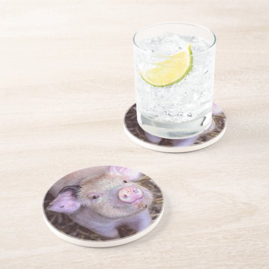 コズミコ コースター (側面)