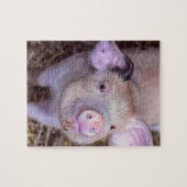 コズミコ ジグソーパズル (横)