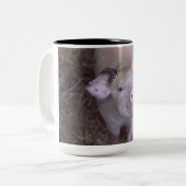 コズミコ ツートーンマグカップ (正面左)