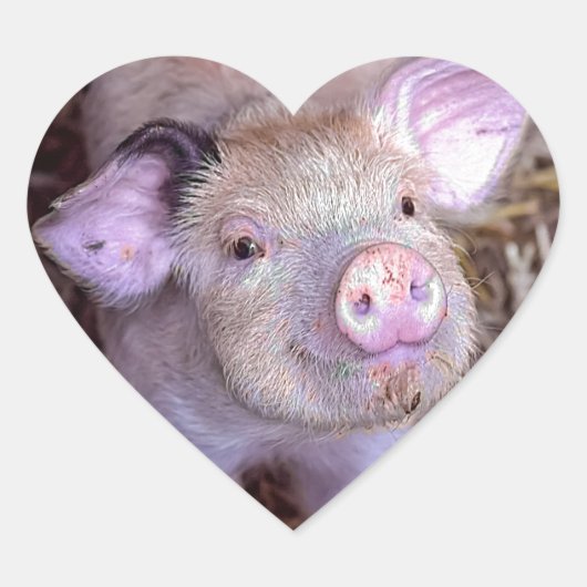 コズミコ ハートシール (正面)