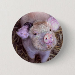 コズミコ 缶バッジ