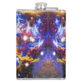 コズミックキャットプシー フラスク (裏面)