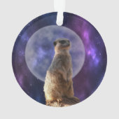 コズミックセンチネル：満月の下のメルカト オーナメント (裏面)