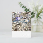 コズミックハウスの付属施設 ポストカード (スタンド正面)