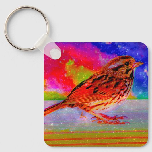 コズミックバードドリームスケーププリント» キーホルダー (正面)