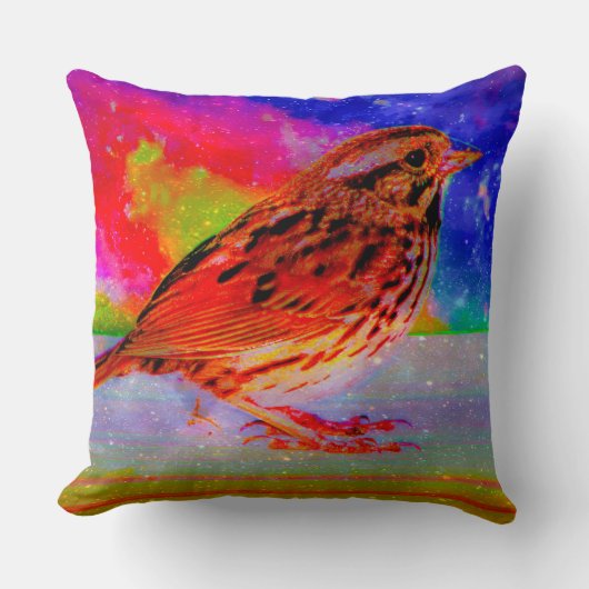 コズミックバードドリームスケーププリント» クッション (正面)