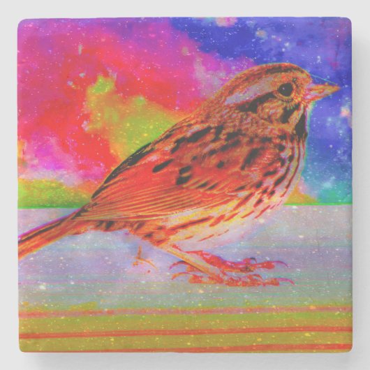コズミックバードドリームスケーププリント» ストーンコースター (正面)