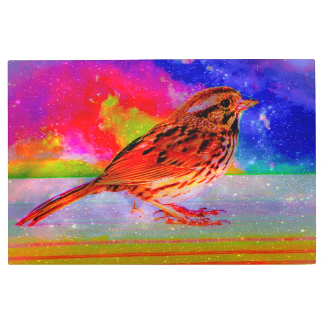 コズミックバードドリームスケーププリント» メタルプリント (正面)