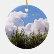 コズミックベイビー