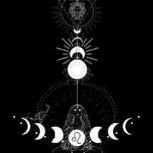 コズミックライオネスTシャツ