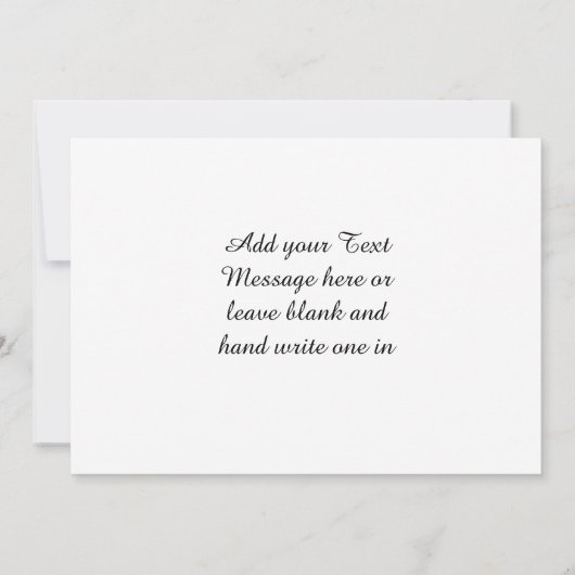 コズミック星空の夜エジプトのラクダの風景 案内状 (裏面)