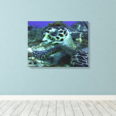 コズメルカメ#2 キャンバスプリント (インサイチュ (ウッドフロア))