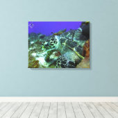 コズメルカメ#3 キャンバスプリント (インサイチュ (ウッドフロア))