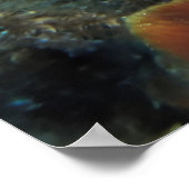 コズメルグレースビー ポスター (角)